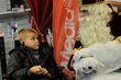 Saint-Nicolas chez vous.