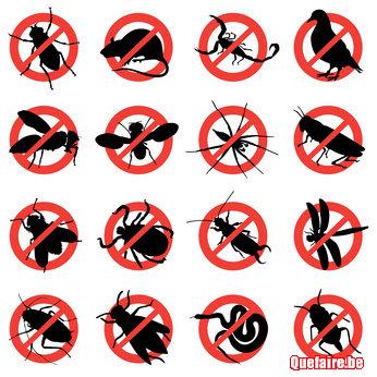 Taupier -pro en -Wallonie avec references