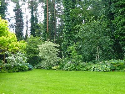 Entretien et création de jardin ,terrassement...