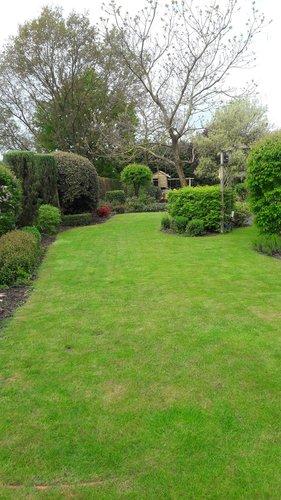 Garde de chiens à mon domicile