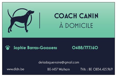 Coaching individuel à domicile par 1 éducateur canin