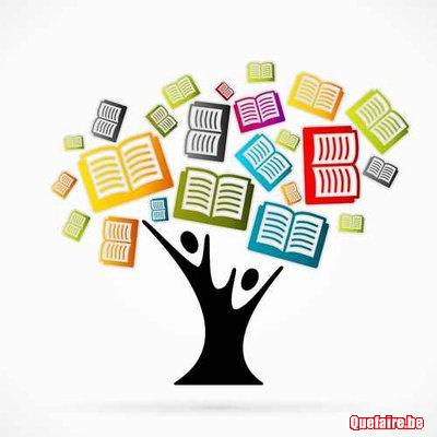 Cours de français, histoire, anglais et méthode...