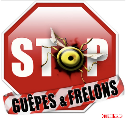 Destruction nid de guêpes et frelons