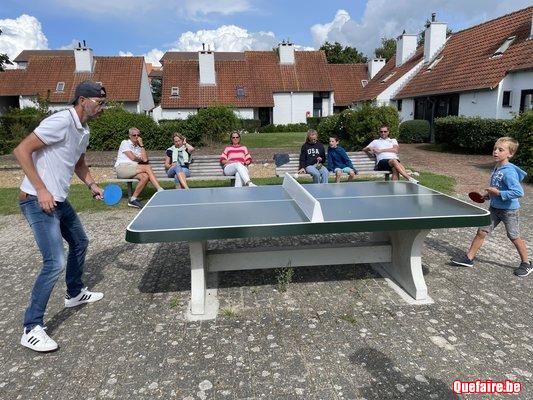 Maisons de vacances à louer à Nieuport (...