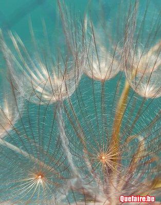 Travail personnel Via la Voix