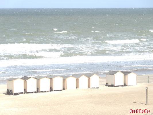 Digue de mer flat 4 pers, vue superbe , chiens...