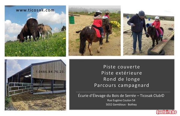 Fêter son anniversaire avec des poneys / piste...