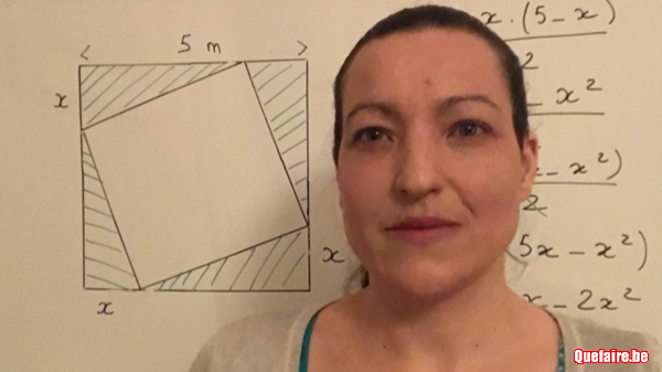 Enseignante donne cours de maths, physique et...