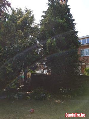 Jardinier a votre service