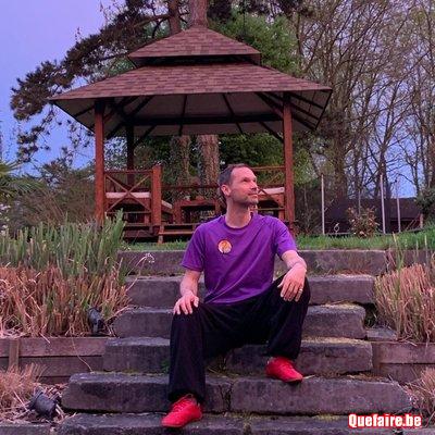 Cours particuliers de QiGong ou/et TaiJi de santé