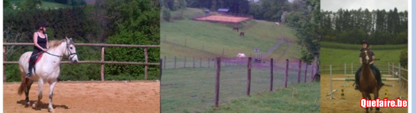 Pension prairie et boxe paddock hiver...