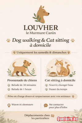 Dog walking & Cat sitting à domicile