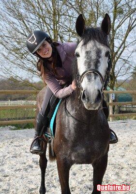 Moreno, Hongre ibérique gris, 7 ans, adorable