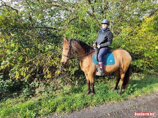 Italia de la Luz, jument PRE isabelle, 4 ans,...