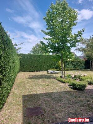 Services de jardinage