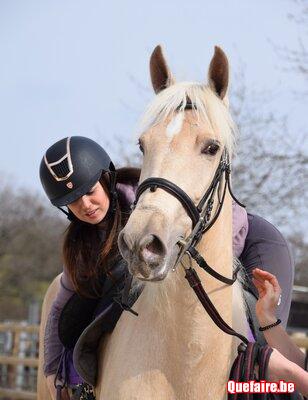 Alma, jument palomino, 3 ans, très jolie