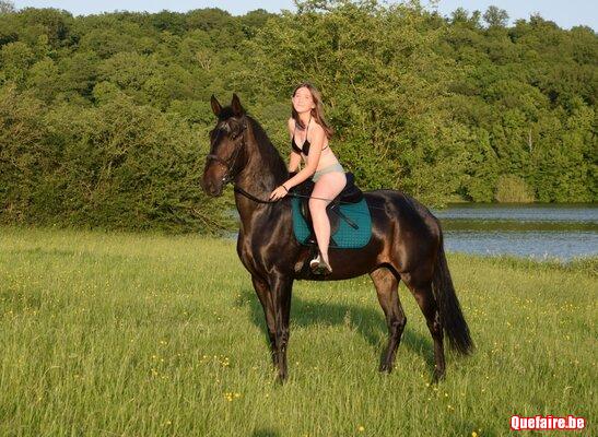 Valkiria, jument ibérique baie, 5 ans, top balade