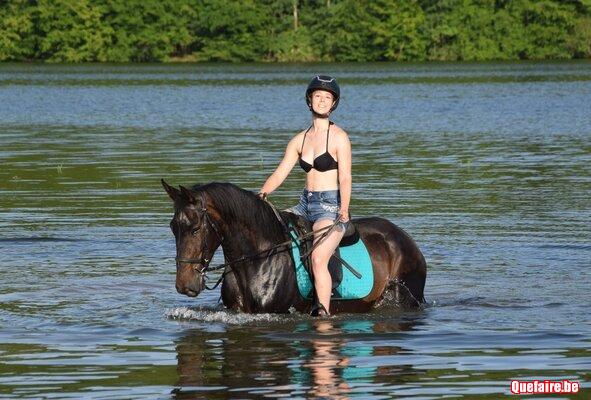 Valkiria, jument ibérique baie, 5 ans, top balade