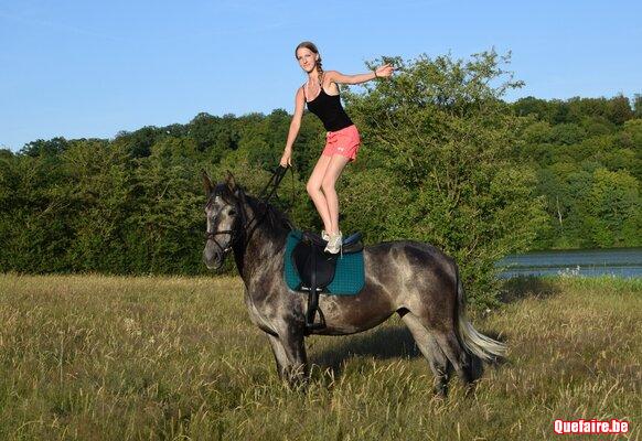 Zulema Vr, jument PRE grise, 3 ans, supers...