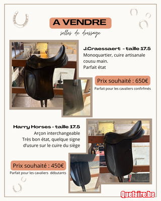 Selle de dressage J.Craessaert  - taille 17.5