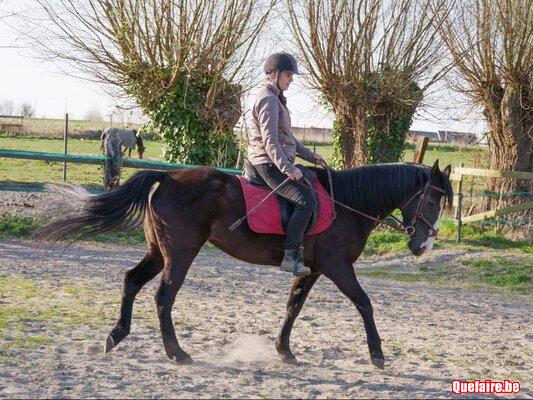 La belle Black Diamond