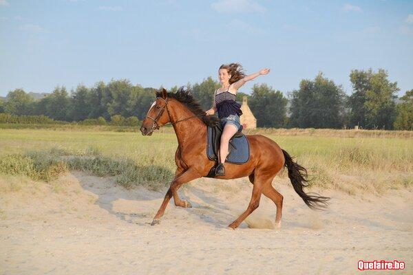 Raiponce-Sol, Jument ibérique alezane, 4 ans,...