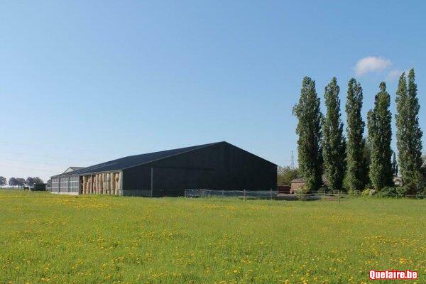 Pension complète pour 2 hongres à Ligny...