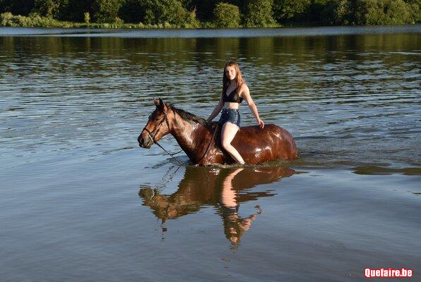 Gala, jument Galicienne, 5 ans, très calme, top...