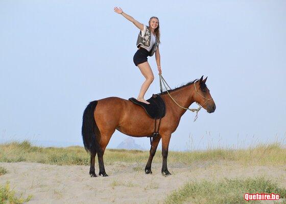 Gala, jument Galicienne, 5 ans, très calme, top...