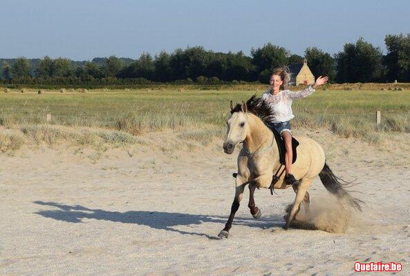 Sangria, Jument PRE isabelle, 9 ans, top rando
