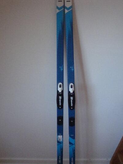 Ski