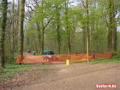 Abattage à la tronçonneuse, travaux forestiers,...