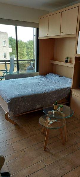 Superbe studio à Coxyde centre