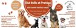 Club canin Veille et Protège à découvrir...