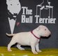 Chiot bull terrier