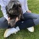 Magnifique femelle shih tzu de pure race...
