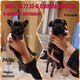 Bouledogue franais