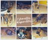 Chiots malinois  rserver