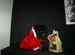 Toy : vritable loulou miniature
