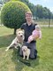 Chiots Labrador (levage amateur, parents test...