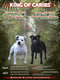 Staffordshire Bull Terrier Staffie Staffy