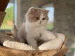 5 adorables trésors