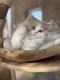 5 adorables trésors