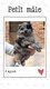 Spitz allemand