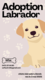 Chiots labradors blonds à adopter