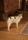 Chat femelle jeune à donner