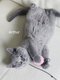 British shorthair bleu
