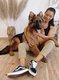 Chiot Berger Allemand Poils Longs