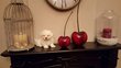 Superbes chiots Bichon Maltais nains
