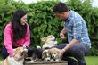 Adorables Welsh Corgi Pembrok chiots à vendre,...